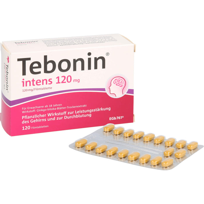 Tebonin intens 120 mg Filmtabletten zur Leistungsstärkung des Gehirns und zur Durchblutung, 120 pc Tablettes