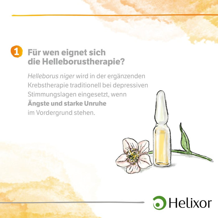 Helleborus niger D 3 aquos., 50 pcs. Ampoules