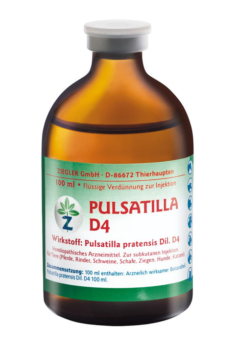 ZIEGLER Pulsatilla D 4 Dilution, 100 ml Solution