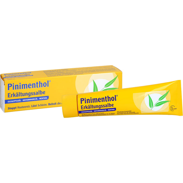 Pinimenthol Erkältungssalbe, 100 g Crème