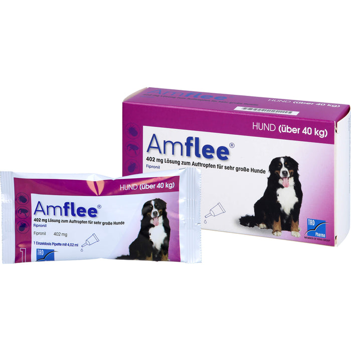 Amflee 402 mg Lösung zum Auftropfen für Hunde über 40 kg, 3 pc Ampoules