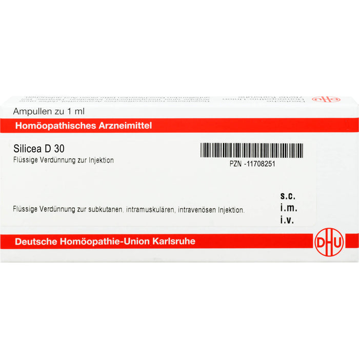 DHU Silicea D30 Ampullen, 8 St. Ampullen