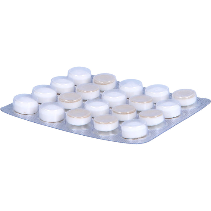 OraCoat XyliMelts Hafttabletten milde Minze gegen Mundtrockenheit, 40 pcs. Tablets