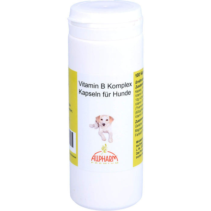 Vitamin B Komplex für Hunde, 100 St KAP