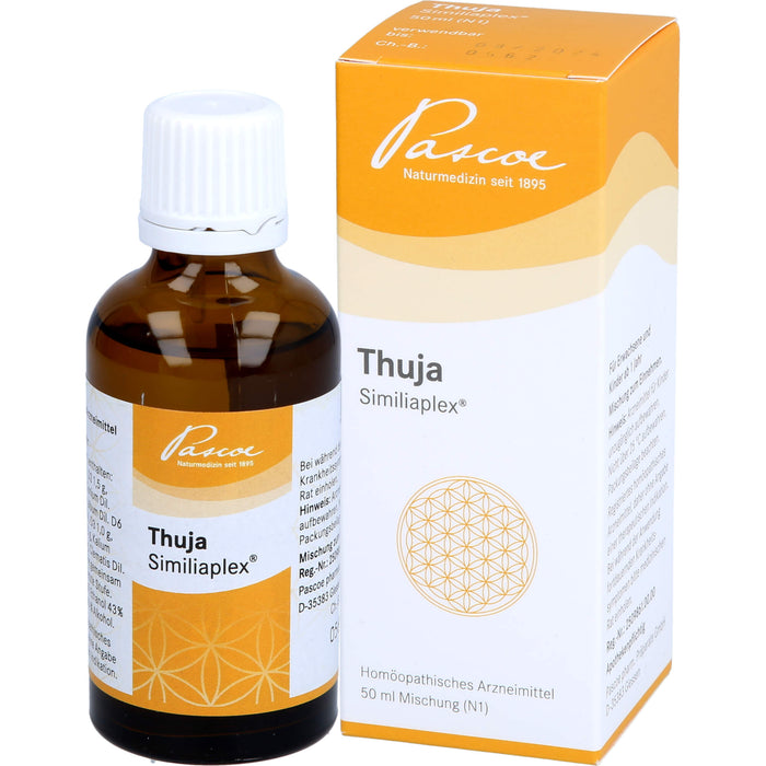 Pascoe Thuja Similiaplex Mischung, 50 ml Lösung