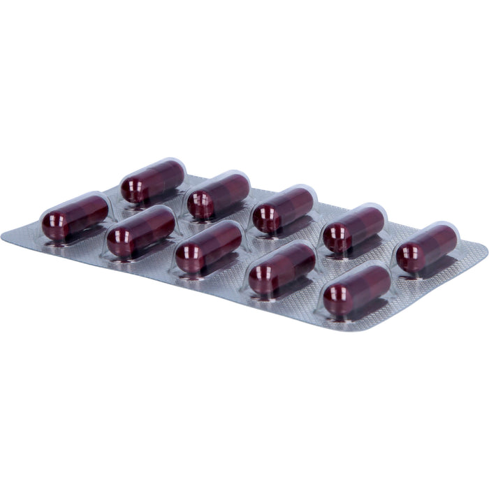 CogniLoges Kapseln zur Unterstützung der kognitiven Leistungsfähigkeit, 30 pcs. Capsules