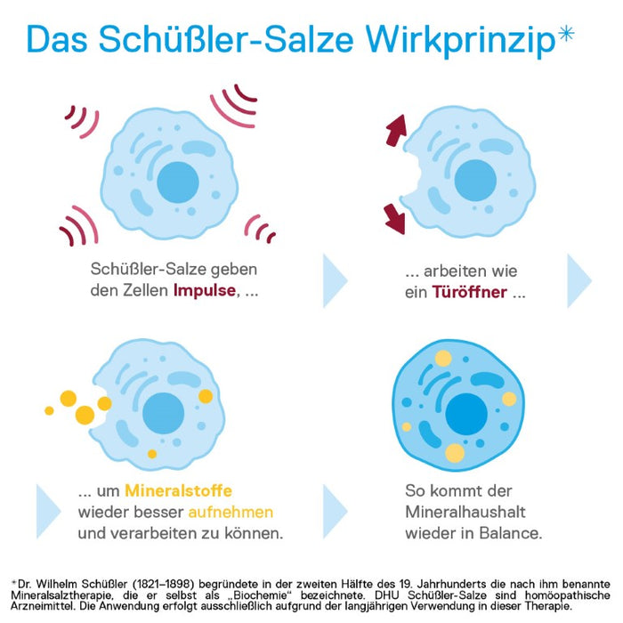 DHU Schüßler-Salz Nr. 1 Calcium fluoratum D3 – Das Mineralsalz des Bindegewebes, der Gelenke und Haut – das Original – umweltfreundlich im Arzneiglas, 200 pcs. Tablets