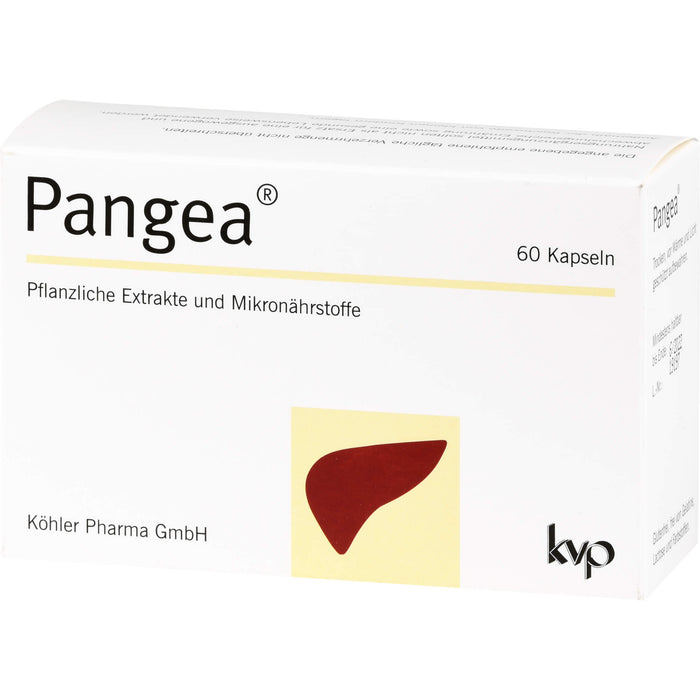 Pangea, 60 St KAP