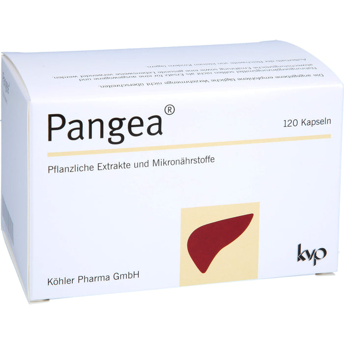 Pangea, 120 St KAP