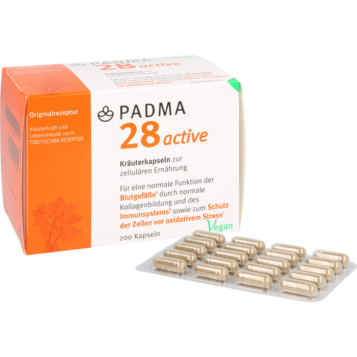 PADMA 28 ACTIVE, 200 St KAP