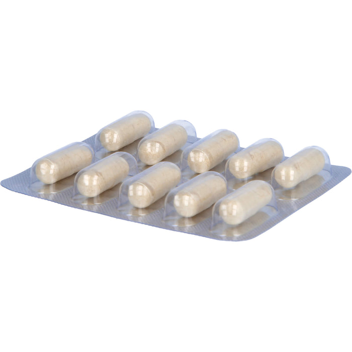 Spermidin Köhler Kapseln, 60 pc Capsules