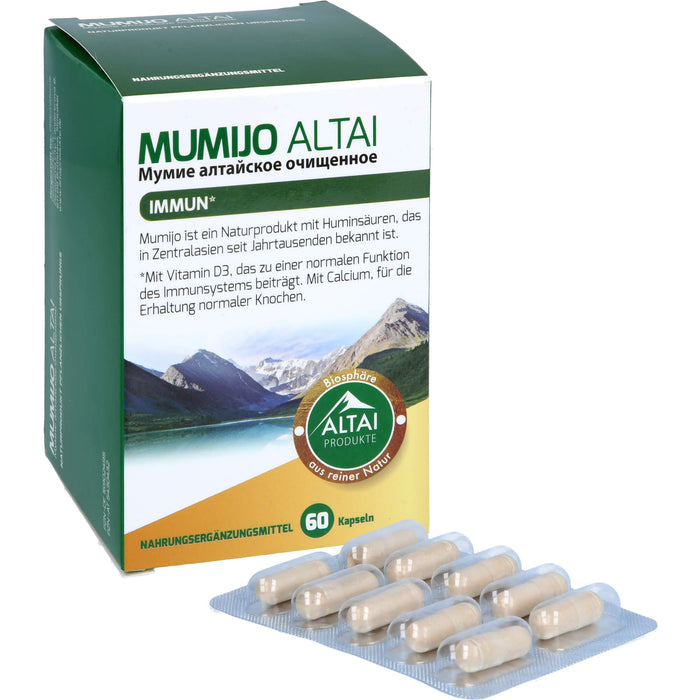 MUMIJO ALTAI, 60 St KAP