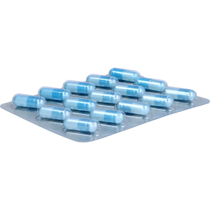 NeuroLoges concept Kapseln für eine normale Funktion des Nervensystems, 60 pcs. Capsules