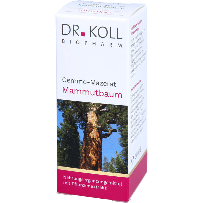 Gemmo-Mazerat Mammutbaum Dr. Koll Sequoia gigantea, 50 ml TRO