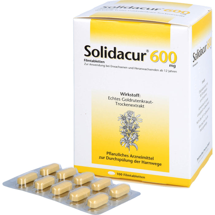 Solidacur 600 mg Filmtabletten zur Durchspülung der Harnwege, 100 pc Tablettes