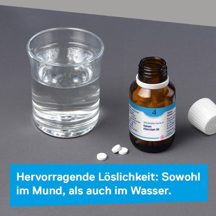 DHU Schüßler-Salz Nr. 4 Kalium chloratum D6 – Das Mineralsalz der Schleimhäute – das Original – umweltfreundlich im Arzneiglas, 420 St. Tabletten