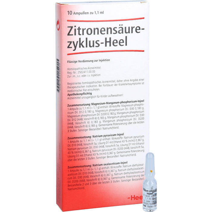 Zitronensäurezyklus Heel Ampullen, 10 pc Ampoules