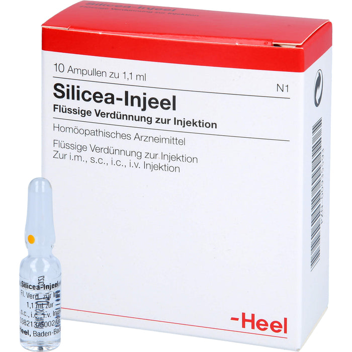 Heel Silicea-Injeel flüssige Verdünnung zur Injektion, 10 pc Ampoules