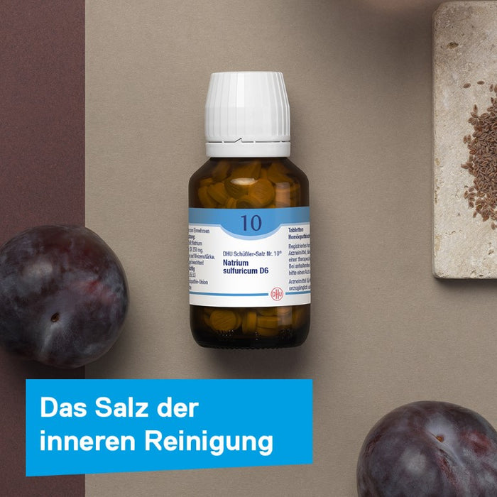 DHU Schüßler-Salz Nr. 10 Natrium sulfuricum D12 – Das Mineralsalz der inneren Reinigung – das Original – umweltfreundlich im Arzneiglas, 80 St. Tabletten