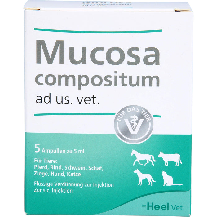 Heel Mucosa compositum ad us. vet. Ampullen, 5 pc Ampoules