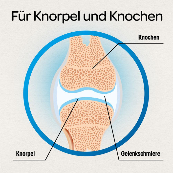 Dr.boehm Gelenke & Knorpel, 120 St FTA