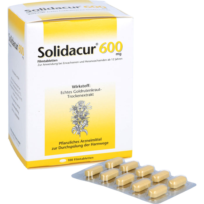 Solidacur 600 mg Filmtabletten zur Durchspülung der Harnwege, 100 pc Tablettes