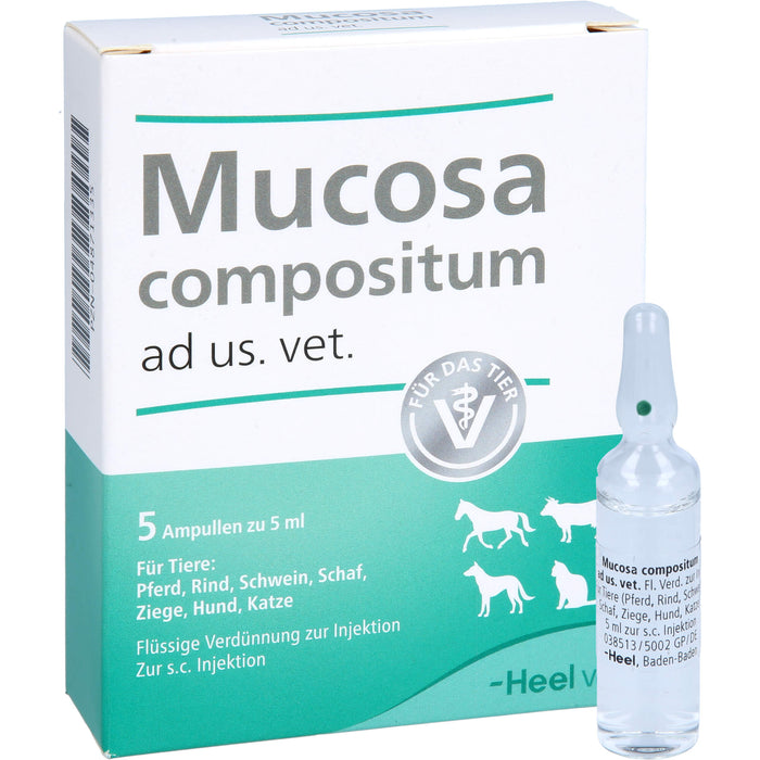 Heel Mucosa compositum ad us. vet. Ampullen, 5 St. Ampullen