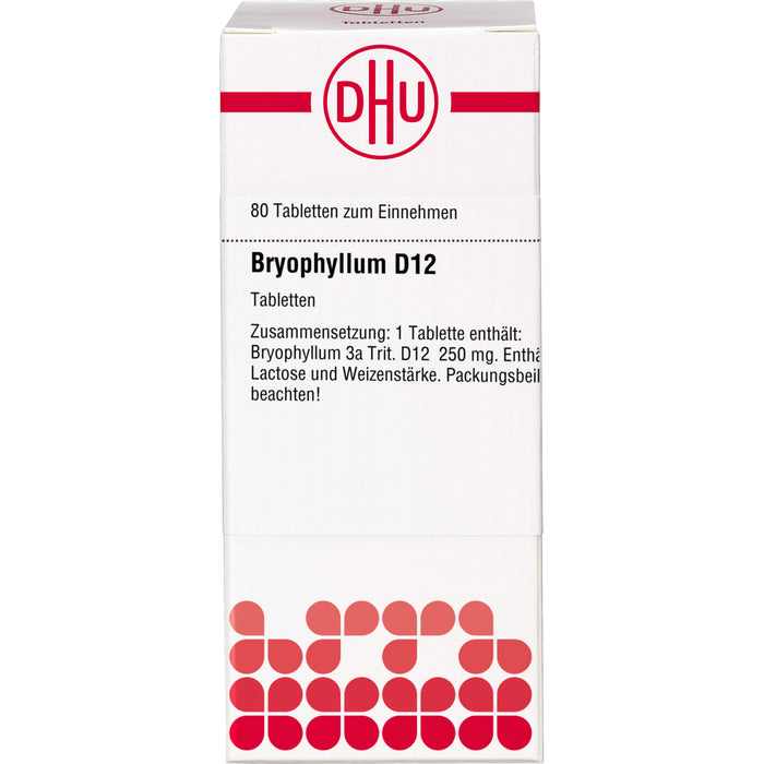 Bryophyllum D12 DHU Tabletten, 80 St TAB