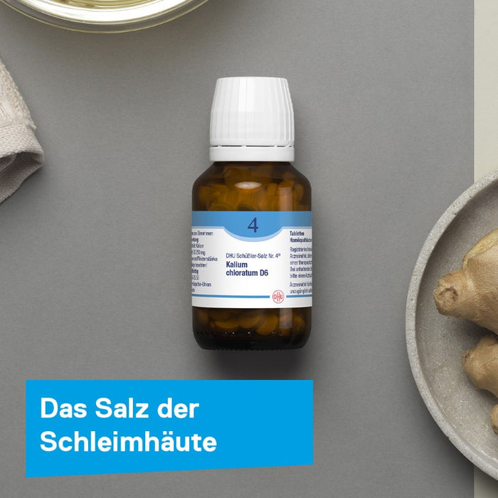 DHU Schüßler-Salz Nr. 4 Kalium chloratum D6 – Das Mineralsalz der Schleimhäute – das Original – umweltfreundlich im Arzneiglas, 420 St. Tabletten