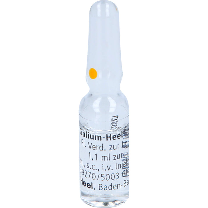 Galium-Heel N Ampullen, 10 pcs. Ampoules