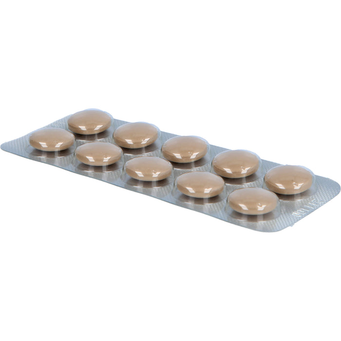 Doloteffin Filmtabletten bei Erkrankungen des Bewegungs- und Stützapparates, 100 pcs. Tablets