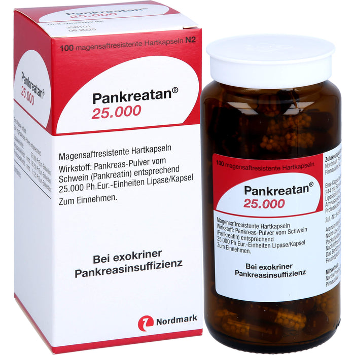 Pankreatan 25.000, Magensaftresistente Hartkapseln, 100 pc Capsules