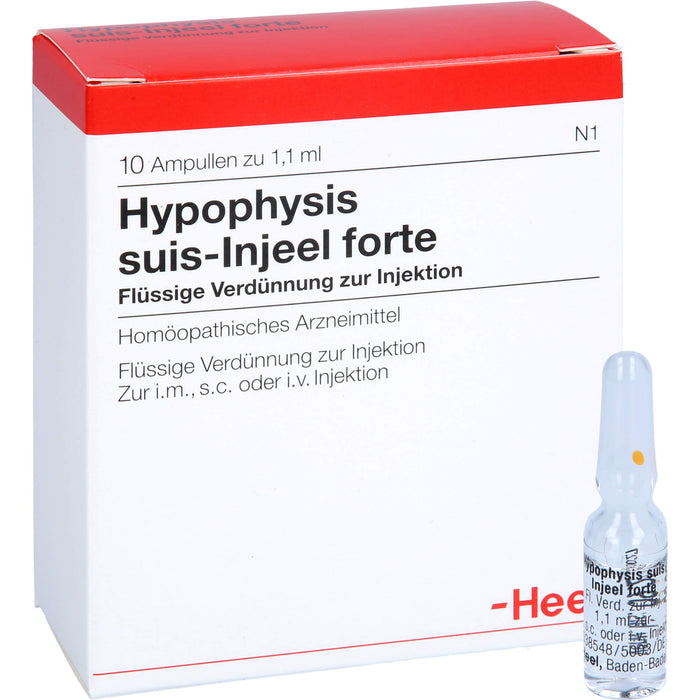 Hypophysis suis-Injeel forte Ampullen, 10 pcs. Ampoules