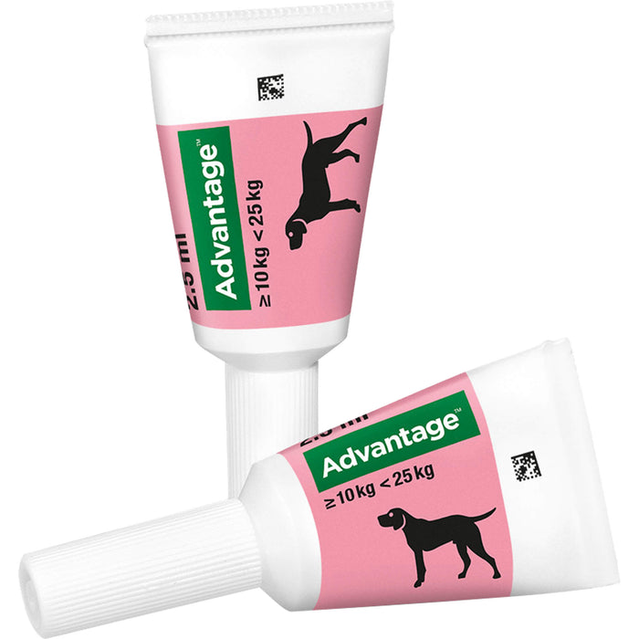 Advantage 250 mg Lösung zum Auftropfen bei Hunden, 4 pc Ampoules