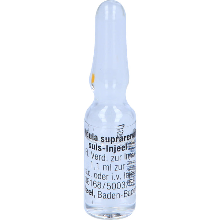 Glandula suprarenalis suis-Injeel Ampullen, 10 pc Ampoules