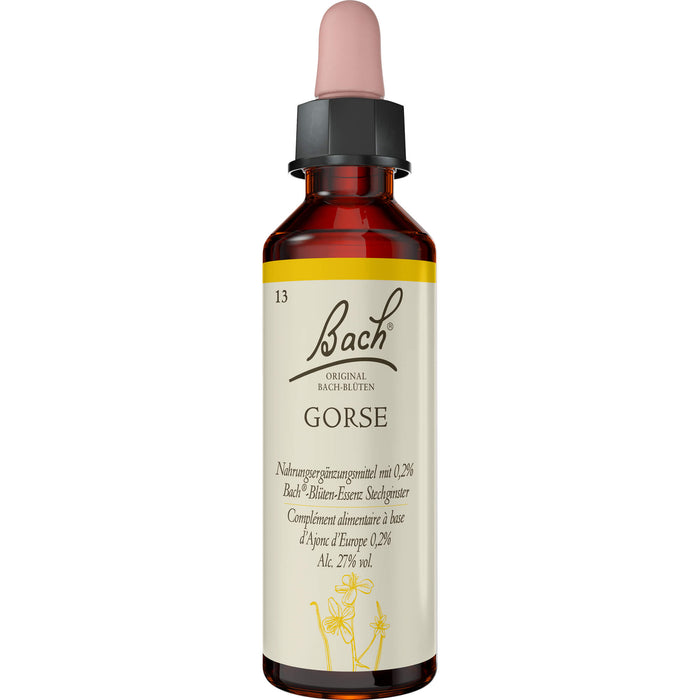 Bach Original Bach-Blüten Nr. 13 Gorse Stechginster Tropfen, 20 ml Lösung