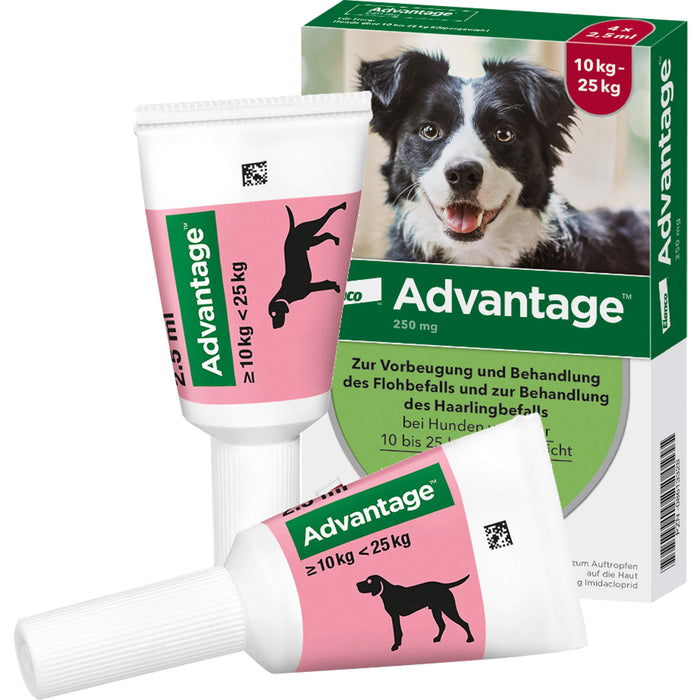 Advantage 250 mg Lösung zum Auftropfen bei Hunden, 4 pc Ampoules