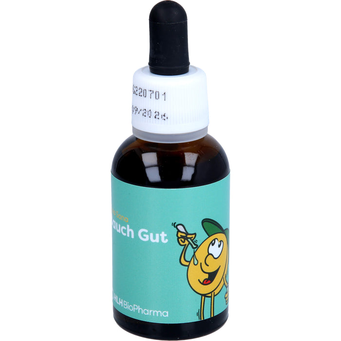 Casa Sana Bauch Gut Tropfen, 30 ml Solution