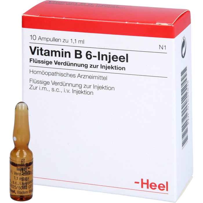 Vitamin B 6 Injeel flüssige Verdünnung, 10 St. Ampullen