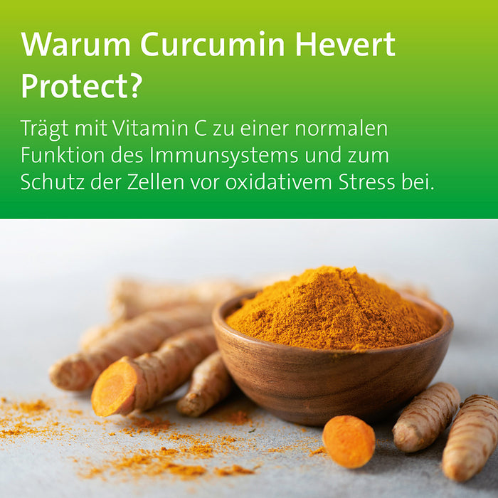 Curcumin Hevert Protect mit Kurkuma-Extrakt, 60 St. Kapseln