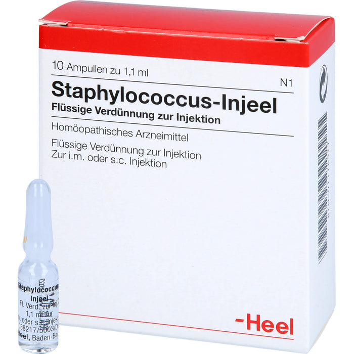 Heel Staphylococcus-Injeel flüssige Verdünnung zur Injektion, 10 pc Ampoules